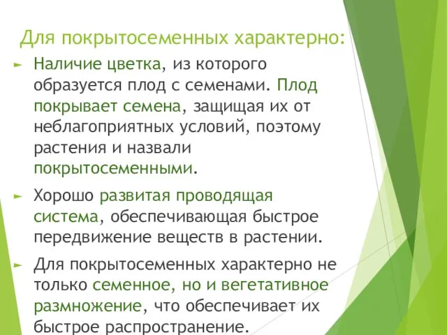 Для покрытосеменных характерно: Наличие цветка, из которого образуется плод с семенами. Плод