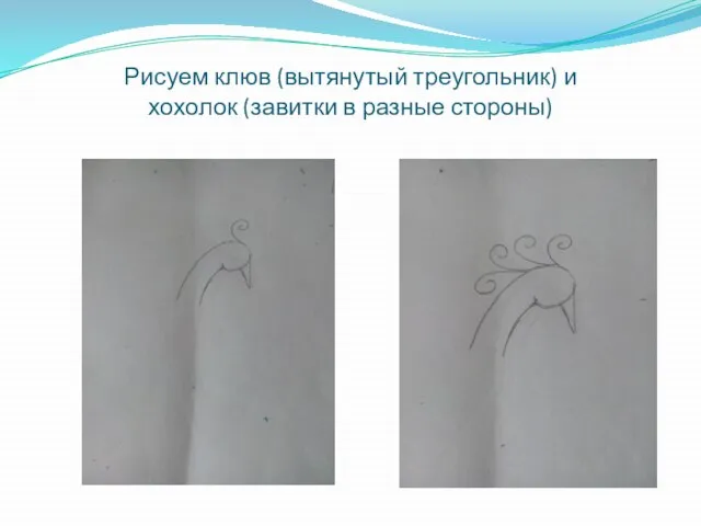 Рисуем клюв (вытянутый треугольник) и хохолок (завитки в разные стороны)