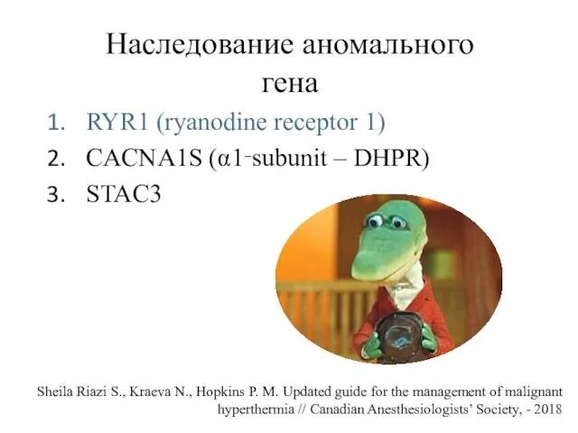 Наследование аномального гена RYR1 (ryanodine receptor 1) CACNA1S (α1‑subunit – DHPR) STAC3