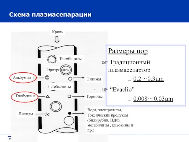 Схема плазмасепарации Размеры пор Традиционный плазмасепартор ? 0.2～0.3μm “Evaclio” ? 0.008～0.03μm