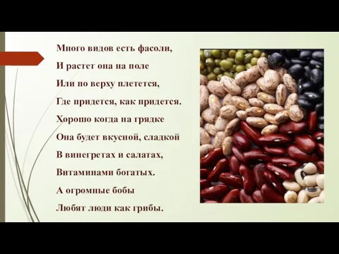 Много видов есть фасоли, И растет она на поле Или по верху