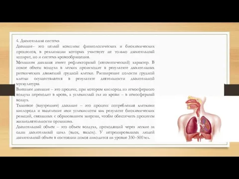 4. Дыхательная система Дыхание– это целый комплекс физиологических и биохимических процессов, в