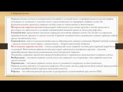 6. Нервная система Нервная система состоит из центрального (головной и спинной мозг)