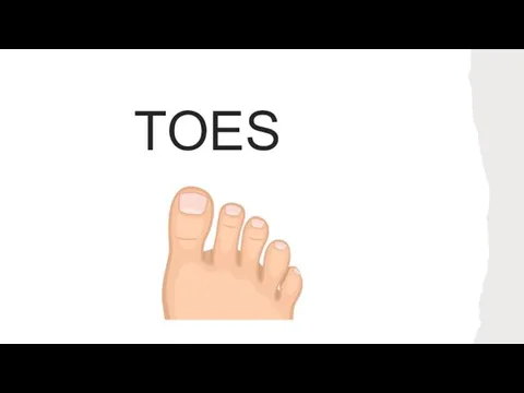TOES