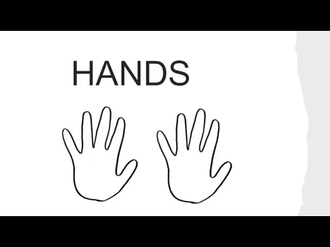 HANDS