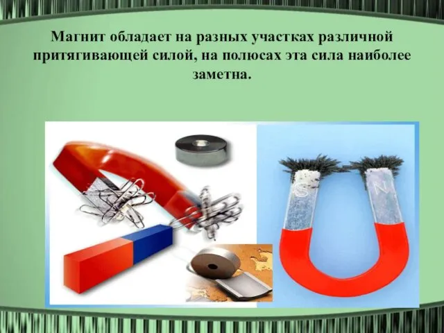 Магнит обладает на разных участках различной притягивающей силой, на полюсах эта сила наиболее заметна.