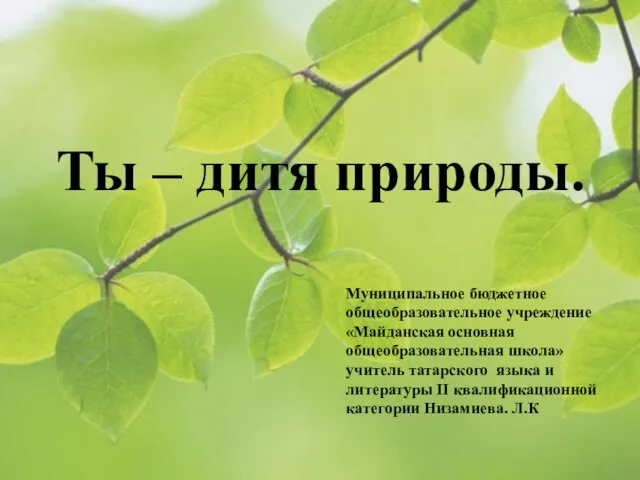 Ты – дитя природы. Муниципальное бюджетное общеобразовательное учреждение «Майданская основная общеобразовательная школа»