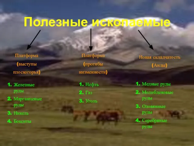 1. Железные руды 2. Марганцевые руды 3. Никель 4. Бокситы 1. Нефть