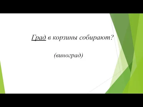 Град в корзины собирают? (виноград)