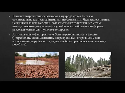 Влияние антропогенных факторов в природе может быть как сознательным, так и случайным,