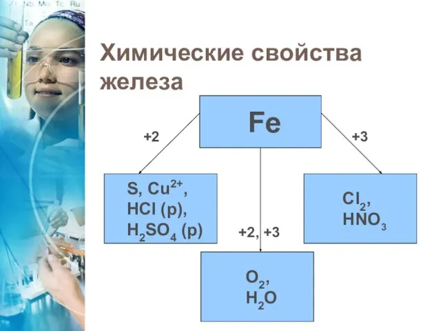 Химические свойства железа Fe S, Cu2+, HCI (р), H2SO4 (р) CI2, HNO3