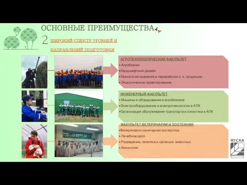 ОСНОВНЫЕ ПРЕИМУЩЕСТВА