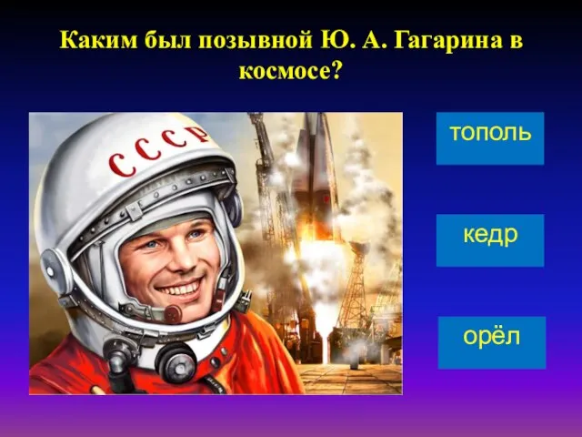 Каким был позывной Ю. А. Гагарина в космосе? тополь кедр орёл