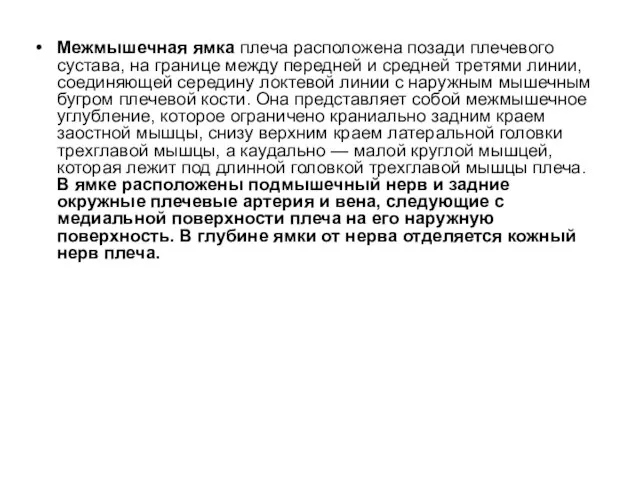 Межмышечная ямка плеча расположена позади плечевого сустава, на границе между передней и