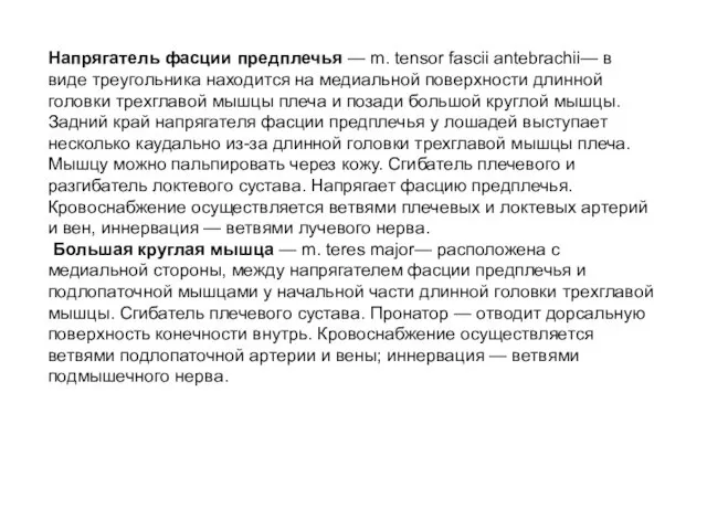 Напрягатель фасции предплечья — m. tensor fascii antebrachii— в виде треугольника на­ходится