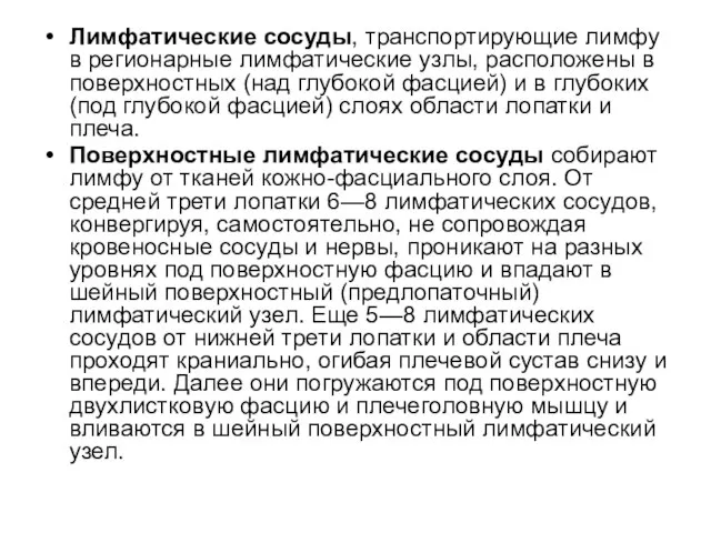 Лимфатические сосуды, транспортирующие лимфу в регионарные лимфатические узлы, расположены в поверхностных (над