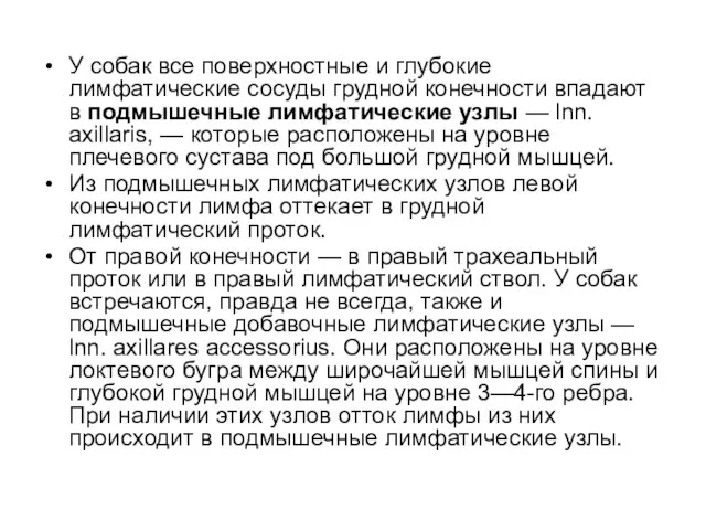 У собак все поверхностные и глубокие лимфатические сосуды грудной конечности впадают в