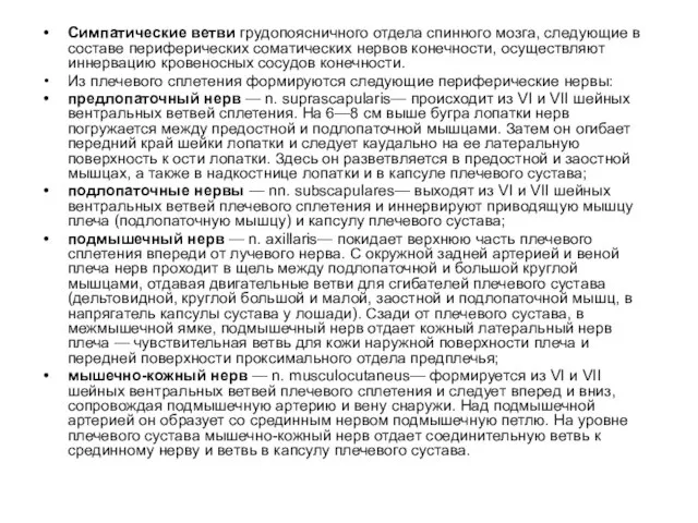 Симпатические ветви грудопоясничного отдела спинного мозга, следующие в составе периферических соматических нервов