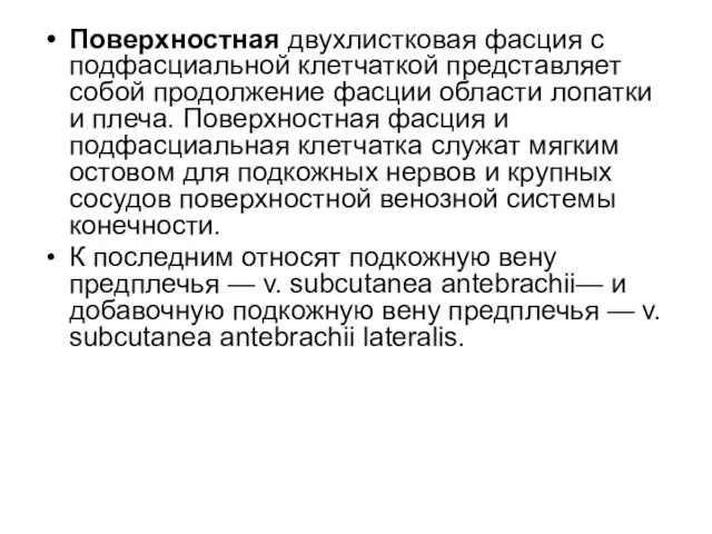 Поверхностная двухлистковая фасция с подфасциальной клетчаткой представляет собой продолжение фасции области лопатки