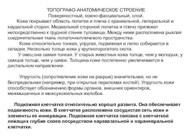 ТОПОГРАФО-АНАТОМИЧЕСКОЕ СТРОЕНИЕ Поверхностный, кожно-фасциальный, слой. Кожа покрывает область лопатки и плеча с