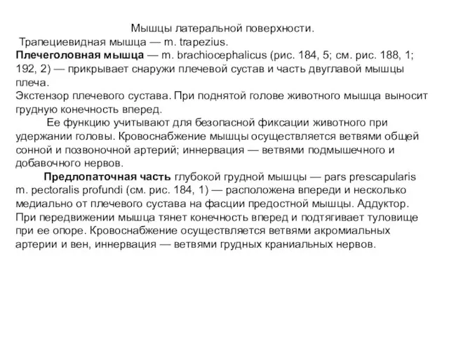 Мышцы латеральной поверхности. Трапециевидная мышца — m. trapezius. Плечеголовная мышца — m.