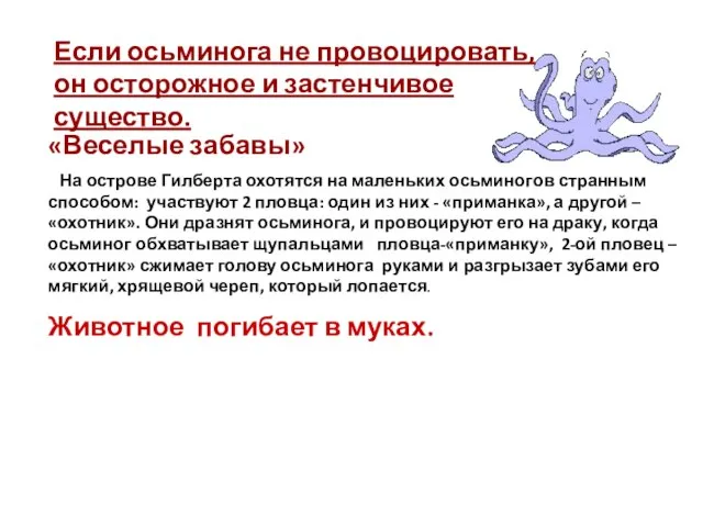 «Веселые забавы» На острове Гилберта охотятся на маленьких осьминогов странным способом: участвуют