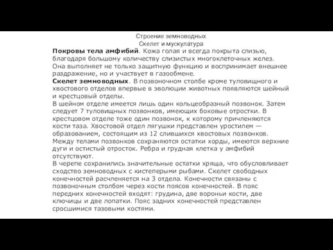 Строение земноводных Скелет и мускулатура Покровы тела амфибий. Кожа голая и всегда