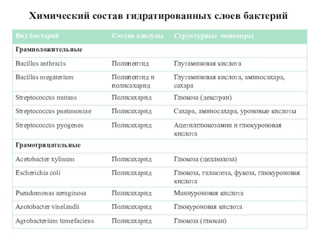 Химический состав гидратированных слоев бактерий