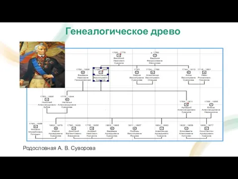 Генеалогическое древо Родословная А. В. Суворова