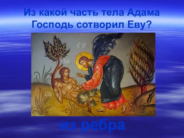 Из какой часть тела Адама Господь сотворил Еву? из ребра
