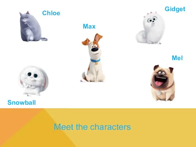 Meet the characters Max Mel Snowball Gidget Chloe