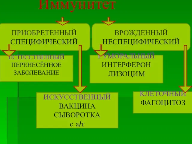 Иммунитет ЕСТЕССТВЕННЫЙ ПЕРЕНЕСЁННОЕ ЗАБОЛЕВАНИЕ ИСКУССТВЕННЫЙ ВАКЦИНА СЫВОРОТКА с а/т ВРОЖДЕННЫЙ НЕСПЕЦИФИЧЕСКИЙ ГУМОРАЛЬНЫЙ