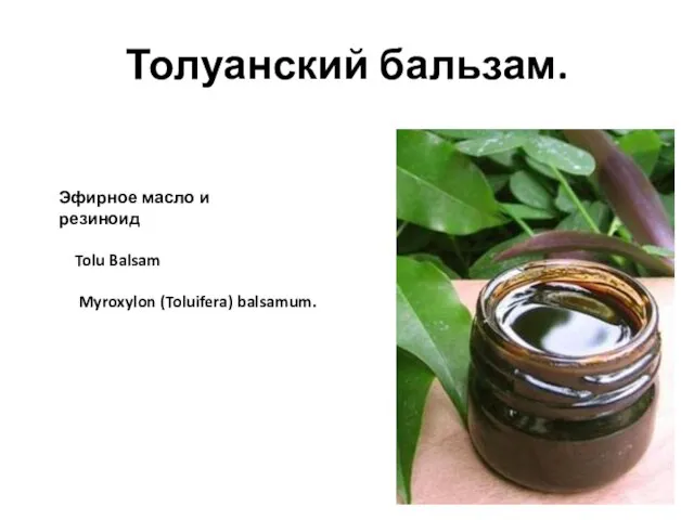 Толуанский бальзам. Tolu Balsam Myroxylon (Toluifera) balsamum. Эфирное масло и резиноид