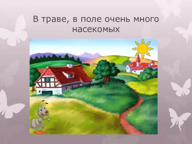 В траве, в поле очень много насекомых