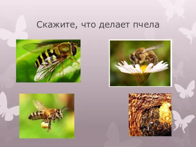 Скажите, что делает пчела