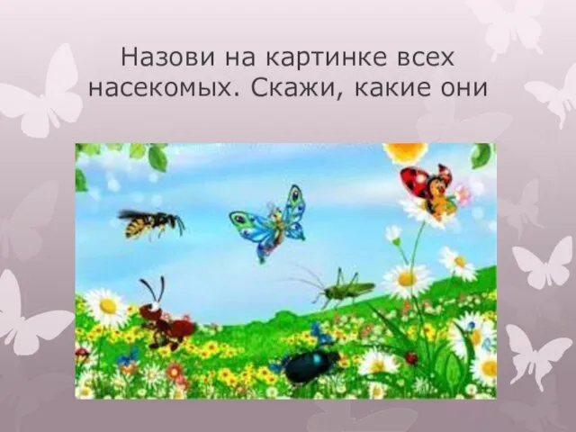 Назови на картинке всех насекомых. Скажи, какие они