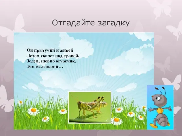 Отгадайте загадку Он прыгучий и живой Летом скачет над травой. Зелен, словно огуречик, Это маленький…