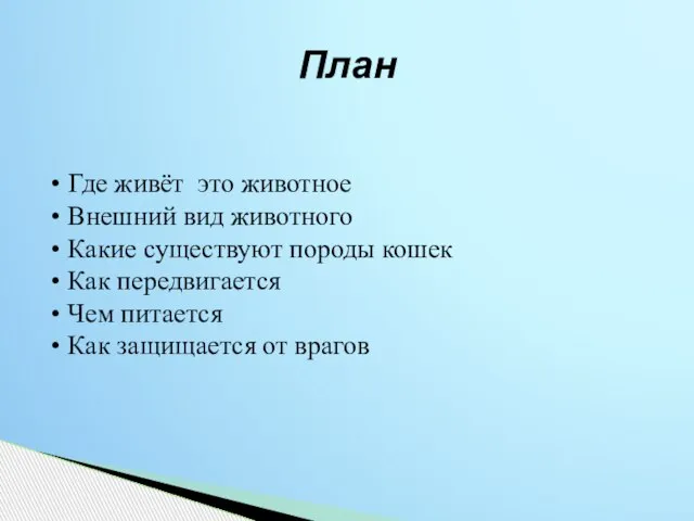 План Где живёт это животное Внешний вид животного Какие существуют породы кошек