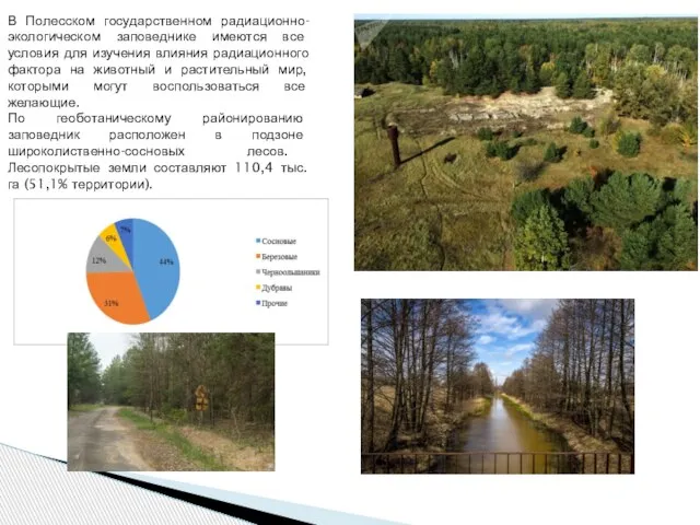 В Полесском государственном радиационно-экологическом заповеднике имеются все условия для изучения влияния радиационного