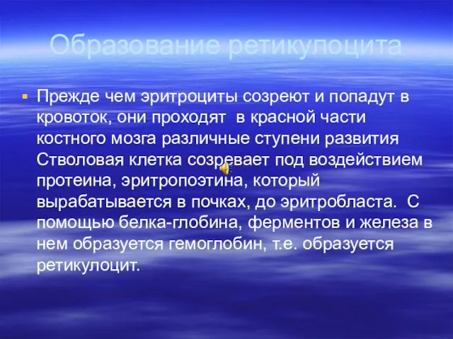 Образование ретикулоцита Прежде чем эритроциты созреют и попадут в кровоток, они проходят