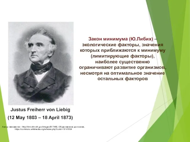 Justus Freiherr von Liebig (12 May 1803 – 18 April 1873) Автор: