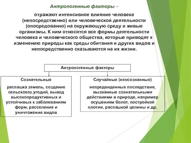 Антропогенные факторы – отражают интенсивное влияние человека (непосредственно) или человеческой деятельности (опосредованно)