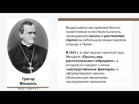 Грегор Мендель 1822–1884 гг. Выдающийся австрийский биолог, талантливый естествоиспытатель, проводивший опыты с