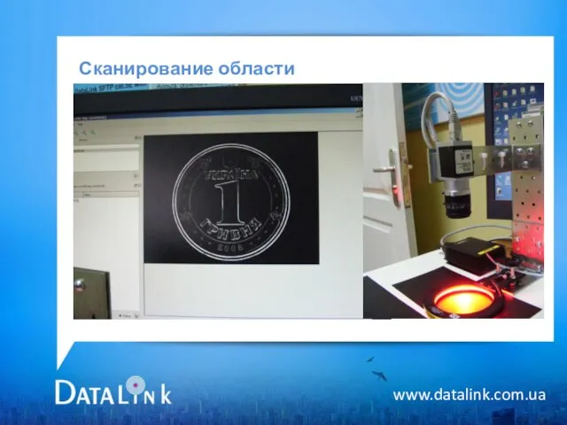 Сканирование области www.datalink.com.ua