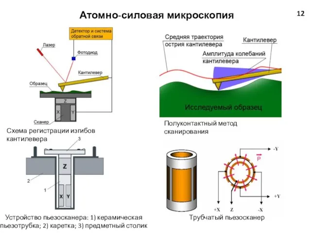 Атомно-силовая микроскопия 12 Схема регистрации изгибов кантилевера Устройство пьезосканера: 1) керамическая пьезотрубка;