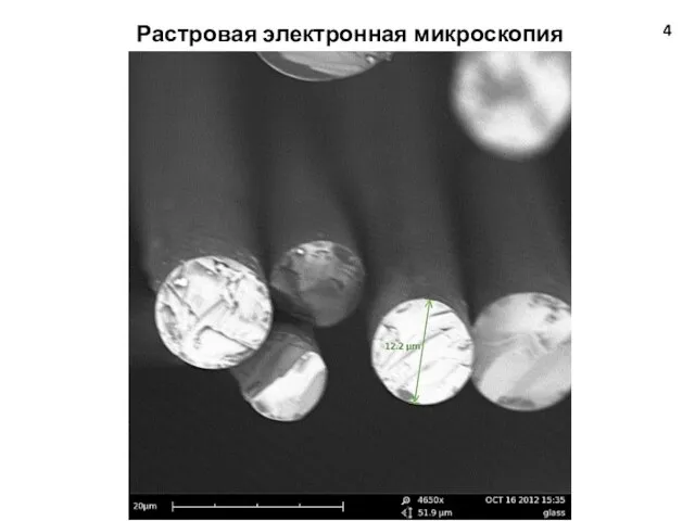 4 Растровая электронная микроскопия