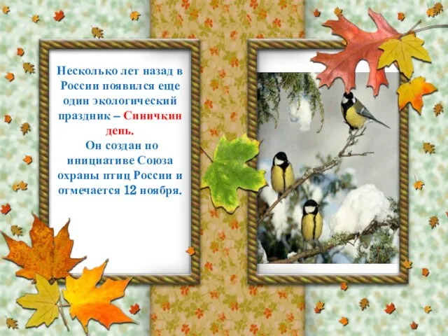 Несколько лет назад в России появился еще один экологический праздник – Синичкин