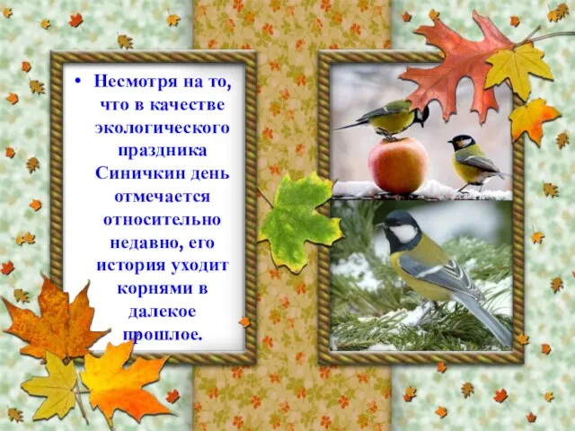 Несмотря на то, что в качестве экологического праздника Синичкин день отмечается относительно