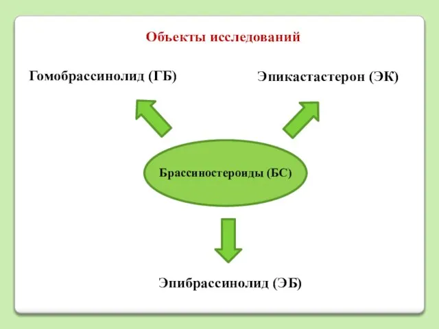 Объекты исследований Гомобрассинолид (ГБ) Эпибрассинолид (ЭБ) Брассиностероиды (БС) Эпикастастерон (ЭК)