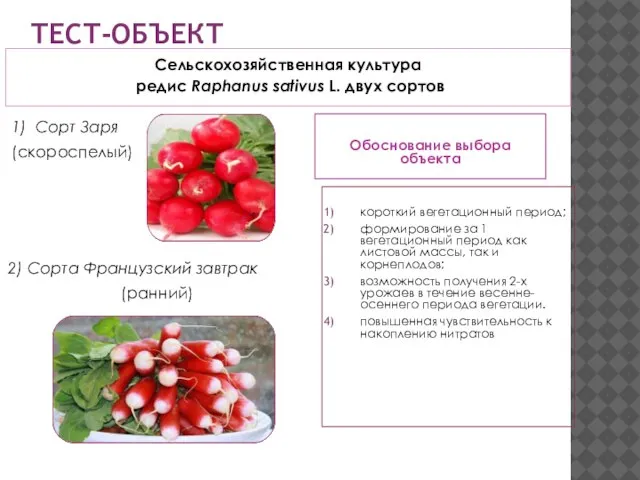 ТЕСТ-ОБЪЕКТ Обоснование выбора объекта Сельскохозяйственная культура редис Raphanus sativus L. двух сортов